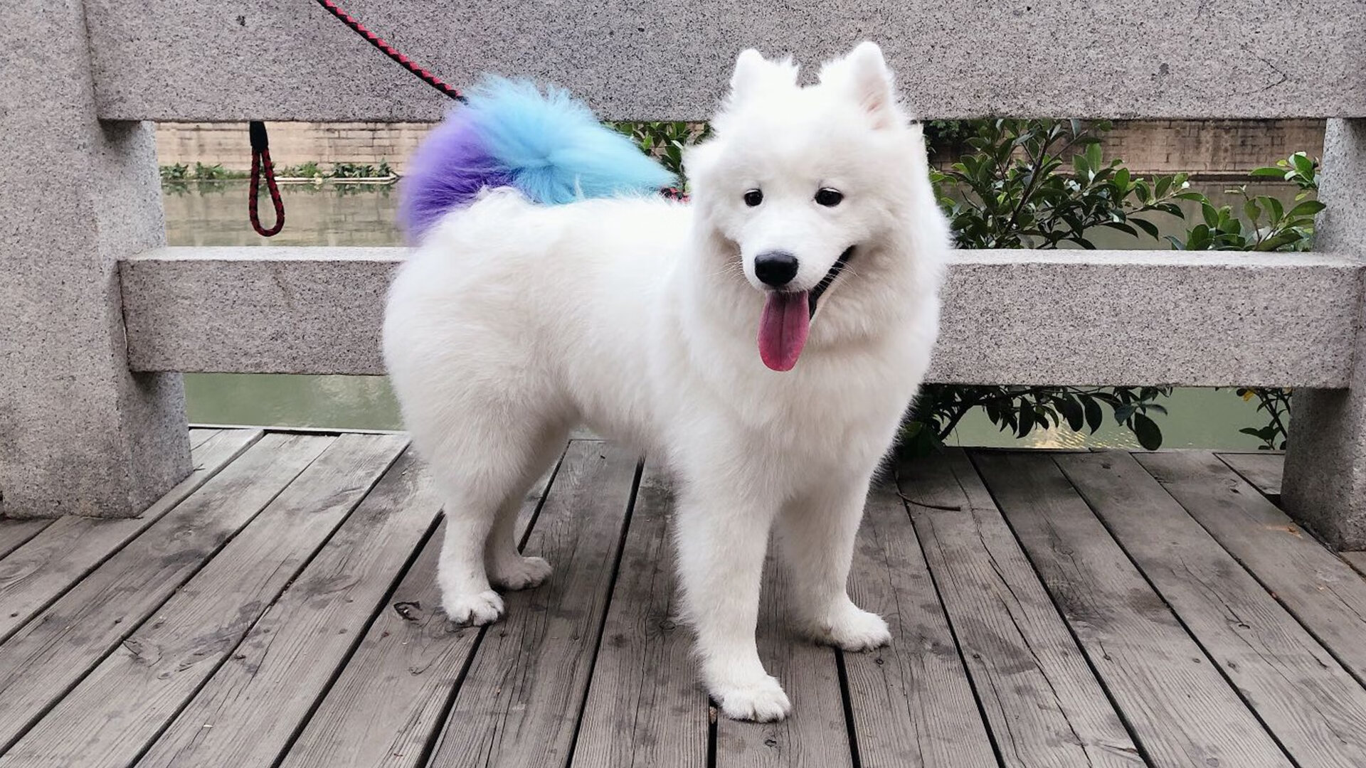 CBA联赛推行裁判透明制度 增强比赛公正性,cba裁判规则2020