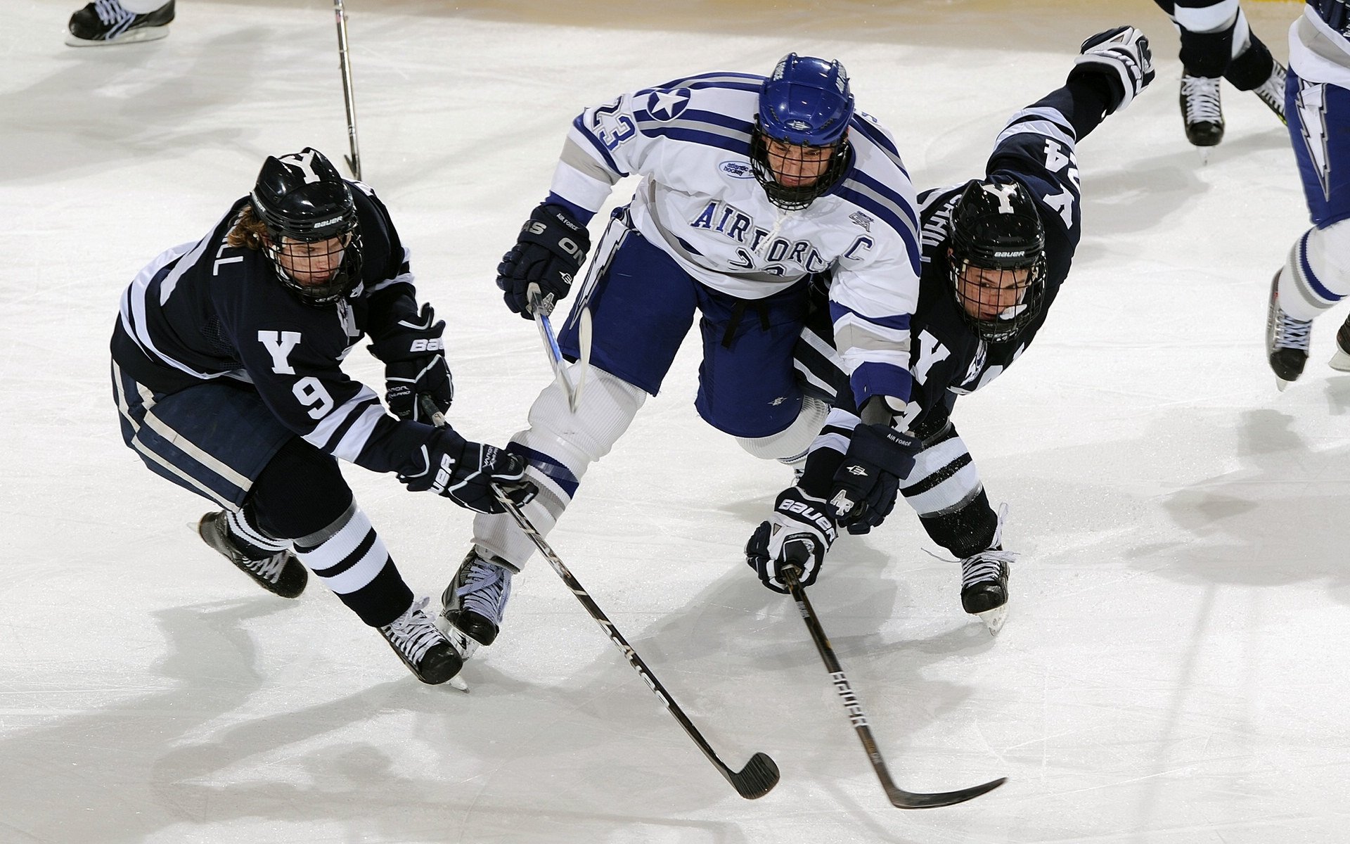 世界马拉松大满贯柏林站 刷新男女组赛会纪录震惊田坛，2022柏林马拉松