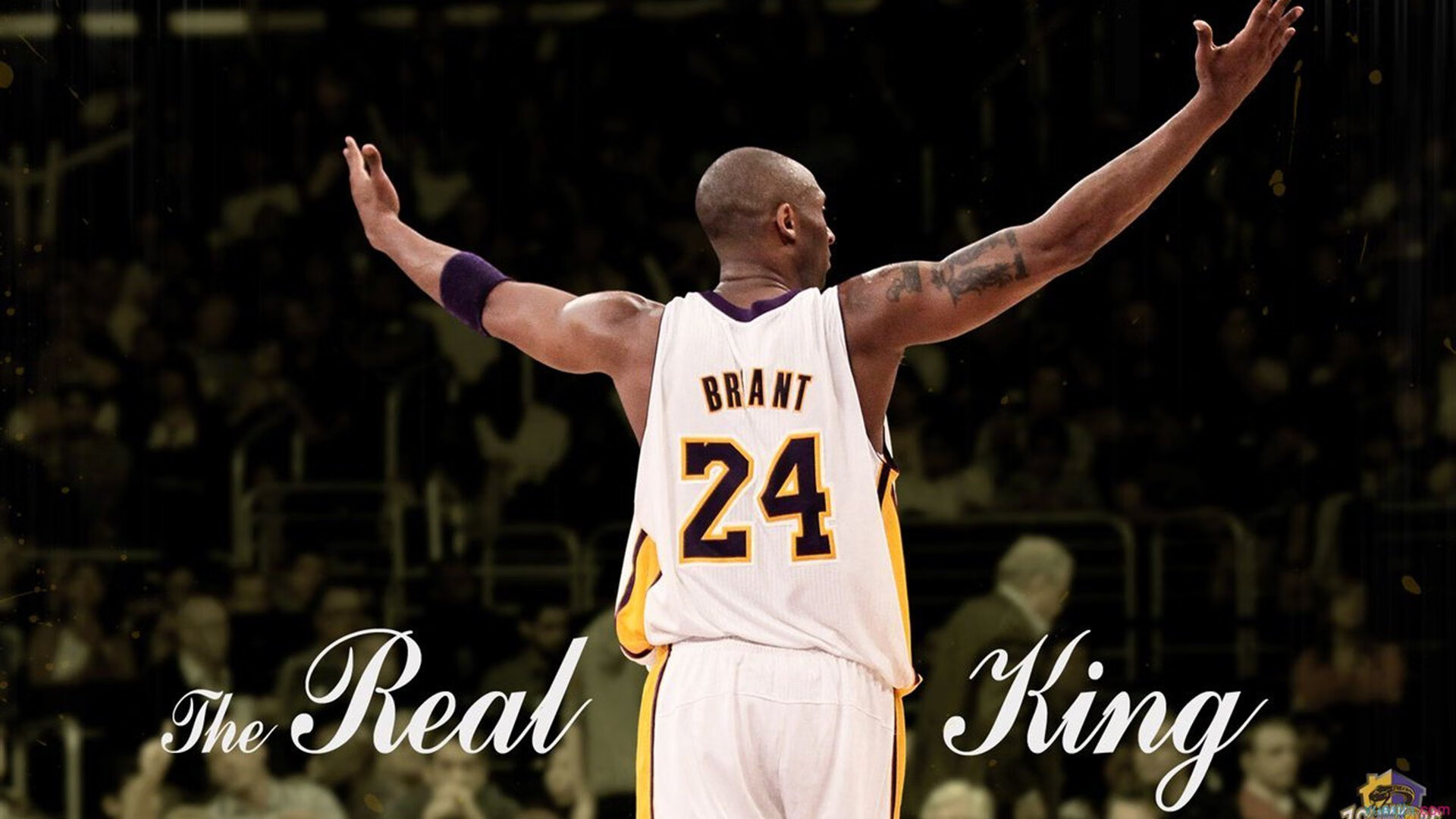 山东泰山公布新赛季票价方案 推出家庭套票吸引球迷进场观赛，泰山赛程